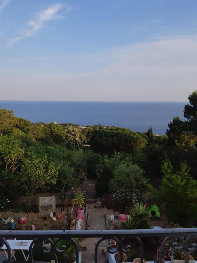 Haut De Villa Au Mont St Clair Vue Exceptionnelle Mer Et Foret Terrasses, Piscine, Petanque, Solarium Prives Сет Екстер'єр фото