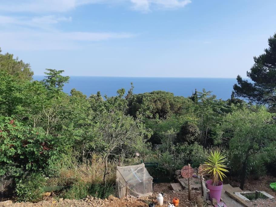 Haut De Villa Au Mont St Clair Vue Exceptionnelle Mer Et Foret Terrasses, Piscine, Petanque, Solarium Prives Сет Екстер'єр фото